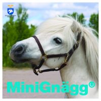 Minignägg